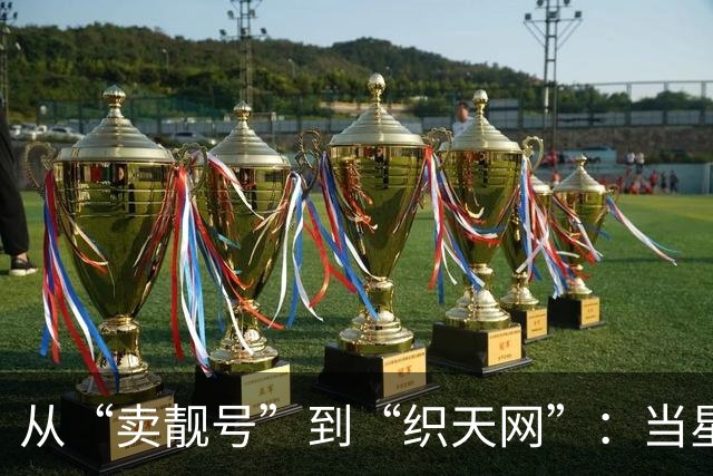 从“卖靓号”到“织天网”：当星链叩门，三大运营商拿什么抵挡进攻